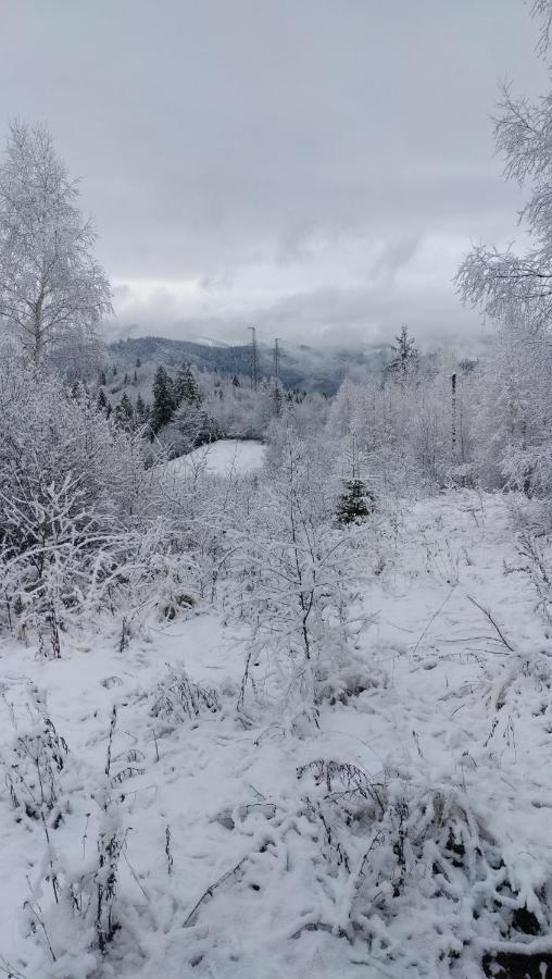 Zacharovany Karpaty Szlavszke Kültér fotó